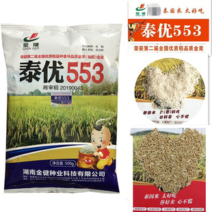 泰优553 籼稻三系杂交晚稻种子 杂交水稻谷种 长粒禾种 500克