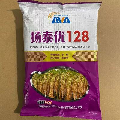 扬泰优128 杂交水稻种子 优至种业 晚稻 长粒谷种 稻谷种子