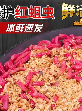 包邮鲜活红蛆牙子鱼饵石斑马口白条溪流野钓江河湖泊鲫鱼鲤鱼饵料