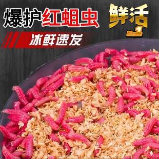 包邮鲜活红蛆牙子鱼饵石斑马口白条溪流野钓江河湖泊鲫鱼鲤鱼饵料