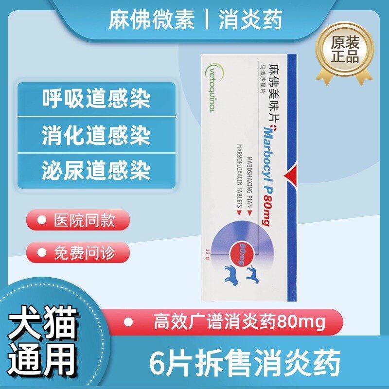 麻佛美味片80mg宠物狗犬猫感冒拉稀呕吐尿血外伤感染麻佛微素6片,宠物/宠物食品及用品,狗特色药品,淘宝优惠券,粉丝福利购,淘宝优惠卷