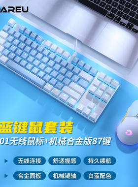 达尔优机械键盘鼠标套装两件青黑轴电竞游戏cf家用电脑网吧ek815