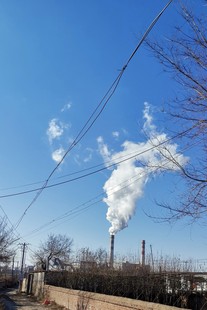 需要其他 请看到回复