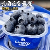 L25云南花香蓝莓鲜果当季 新鲜水果抚仙湖超甜大果小蓝杯现摘现发