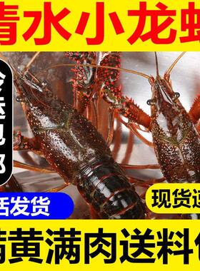 鲜活江苏2斤满肉小龙虾