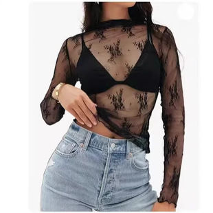 Women's Mesh Transparent Lace Layered Mid-crewneck Perspecti