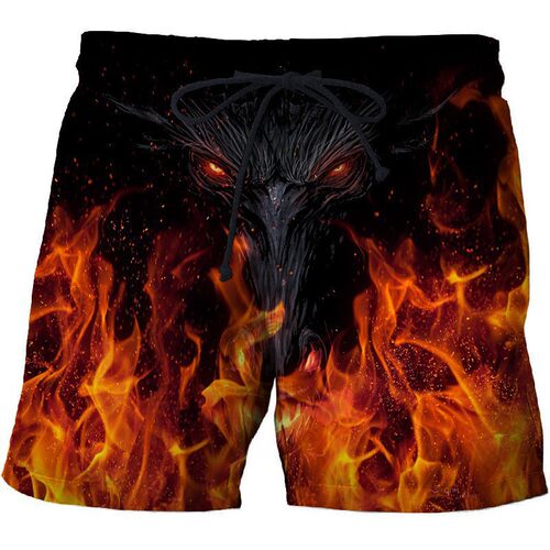 lorful Flame Print Men's Dry Shorts Printed Side Pocket Casu