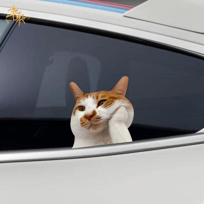猫猫汽车贴纸个性创意