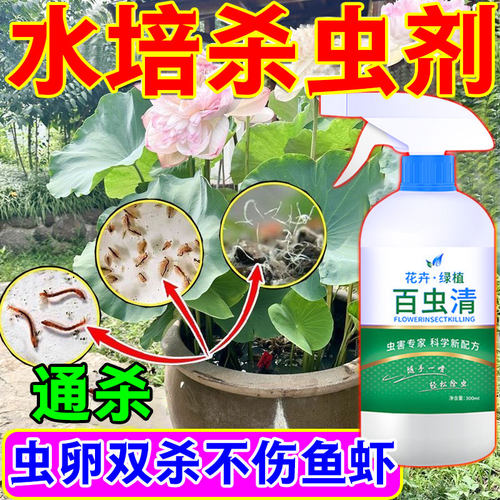 水培植物杀虫剂鱼缸池塘荷花富贵竹睡莲杀虫剂灭蚊子除幼虫红线虫