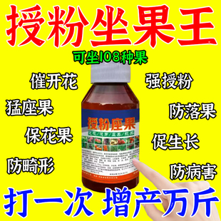 保花保果药防落果座果灵瓜果蔬菜果树通用催花强效授粉王坐果精肥