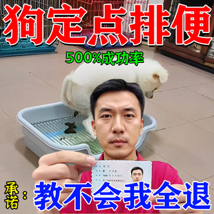 狗狗定点排便神器宠物不乱拉屎上厕所诱导剂引大小便尿垫定点训练