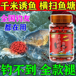 邓刚钓鱼饵料颗粒鲜丹红虫蚯蚓颗粒窝料鲫鱼鲤鱼鲢鳙鳊鱼青鱼专用