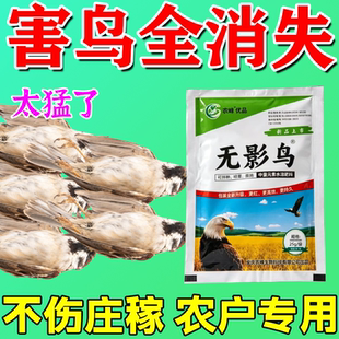 驱鸟高效药驱鸟神器2026新款强效菜地果树园农田地防鸟驱害鸟野禽