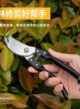得力树枝剪花枝剪刀DL580200重型修枝剪8寸65Mn刀头全金属手柄200