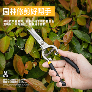 得力修枝剪弯嘴直嘴果枝剪套装修剪园林树枝剪刀DL580241直剪弯剪