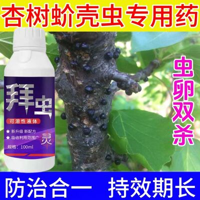 杏树专用百虫杀地上地下