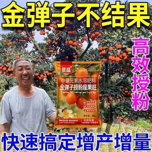 金弹子坐果灵催花授粉剂保花保果药防落花果老鸦柿公树授粉挂果肥