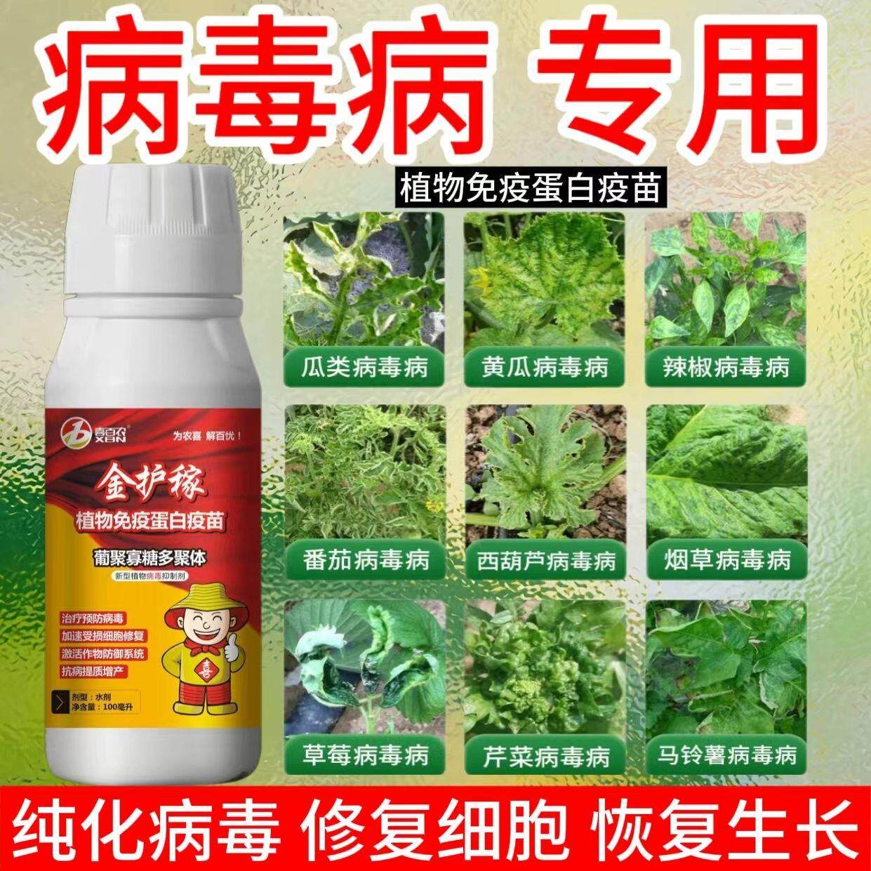 病毒病全治番茄辣椒黄瓜茄子葫芦西瓜黄叶卷叶小叶病毒一遍净