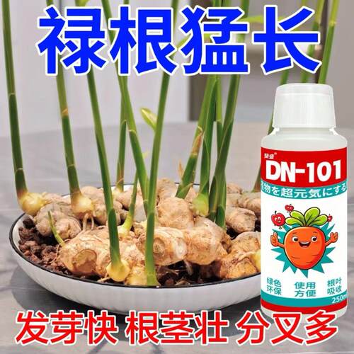 dn101禄根营养液仙草生姜山盆栽绿植促生根催发芽防臭黄叶腐烂肥