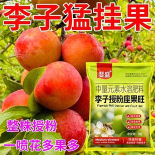 蜂糖李保花保果药李子授粉药强效授粉座果精催花授粉防落素坐果灵