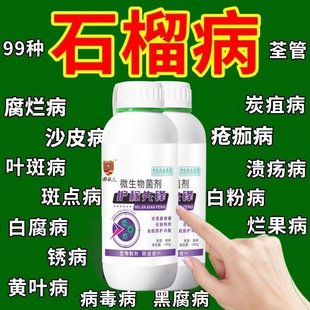石榴树专用药农药救干腐病果实发黑斑炭疽病防果裂促增产杀菌剂