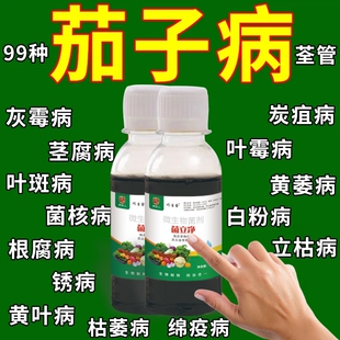 茄子病害专用药茄子黄萎病疫病灰霉病根腐病茄子病害专用杀菌剂