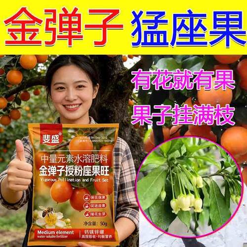 【新春上市】金弹子授粉座果精保花保果药金弹子坐果不落果专用肥
