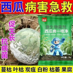西瓜专用药甜瓜西瓜杀菌剂西瓜死苗烂根病烂果病叶枯病炭疽病专用