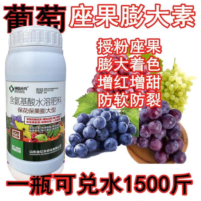 葡萄座果膨大素葡萄膨大防落果防大小粒夏黑巨峰红提膨大增甜催熟