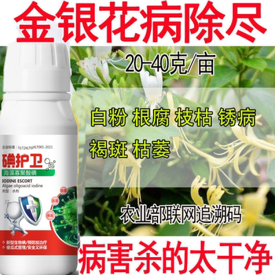 金银花杀菌药金银花专用杀菌剂农药根腐病枝枯病锈病褐斑病枯萎