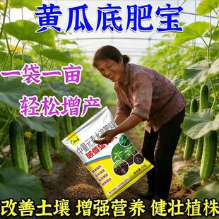 【黄瓜底肥宝】黄瓜种植专用改善土壤快速吸收中量元素