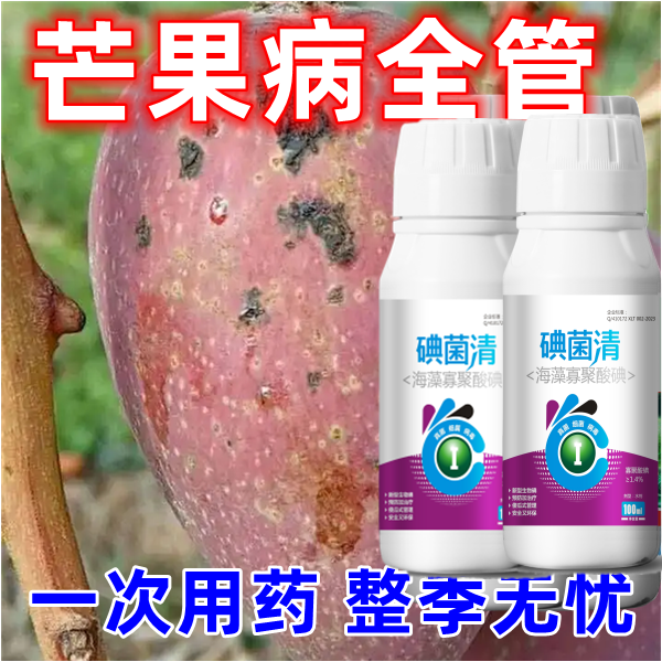 芒果专用药芒果病全杀强效芒果治病杀菌剂炭疽病蒂腐病疮痂灰疫病