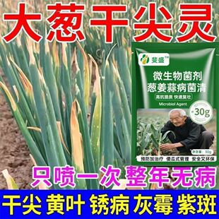 大葱病专用药病全治黄叶干尖根腐烂根叶斑锈病发霉软腐杀菌剂