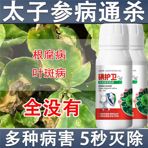 太子参专用药太子参病全