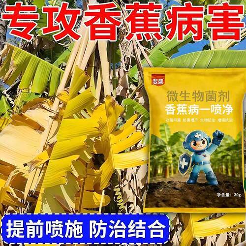 香蕉黄叶烂心病药钻心虫叶斑病黑斑病芭蕉黄叶病炭疽病专用杀菌剂