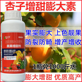 杏树膨大着色王膨大素果树膨大剂微量元素肥料杏子增甜剂叶面肥