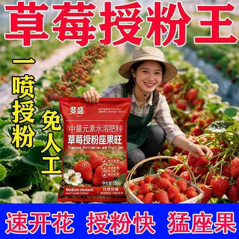 草莓专用授粉点花剂保花保果授粉座果精免沾花提高坐果率强力座果