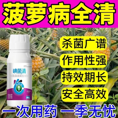 菠萝专用杀菌剂菠萝病全管霜霉病软腐病白斑病黑斑病黑腐病炭疽病