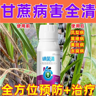 甘蔗专用药甘蔗病全杀甘蔗治病杀菌剂凤梨病黑穗病黄斑病赤腐病