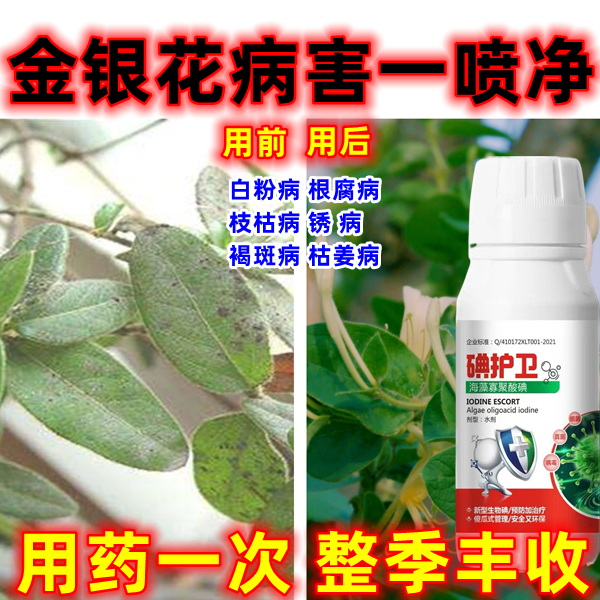 金银花杀菌药褐斑病枯萎
