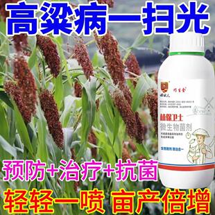 高梁专用杀菌剂高梁病白粉病灰霉病霜霉病黑穗病高梁病全清