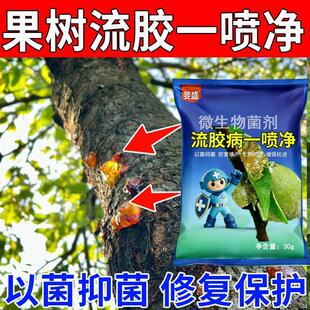 流胶穿孔净流胶穿孔专用药桃树流胶药桃树穿孔药黄瓜流胶病菌剂