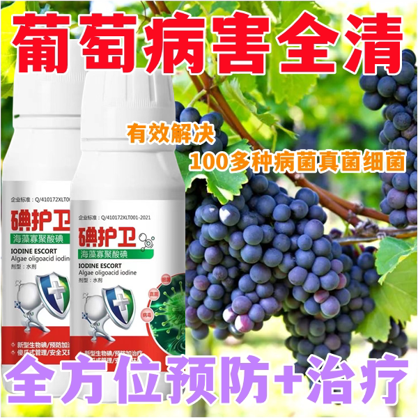 葡萄杀菌剂杀菌药葡萄病全治病灰霉病溃疡病叶斑