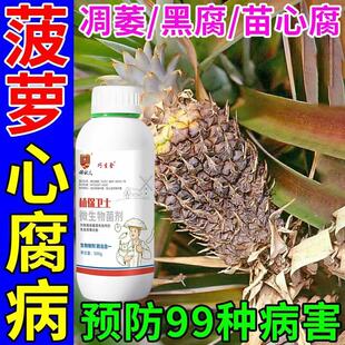 菠萝杀菌剂菠萝病全治病害全杀黑心病根腐病疫病凋萎病心腐病