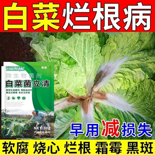 白菜病菌清专用药大白菜防烂心烂根软腐霜霉病杀菌剂病全清正品