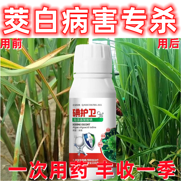 茭白杀菌剂茭白病全治白瘟病纹枯病专用杀菌药全杀炭疽病褐斑病