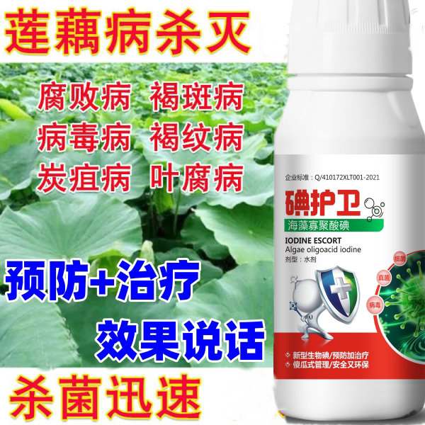 莲藕病全治莲藕杀菌剂微生物菌剂快速杀菌腐败病褐斑病病毒病褐纹
