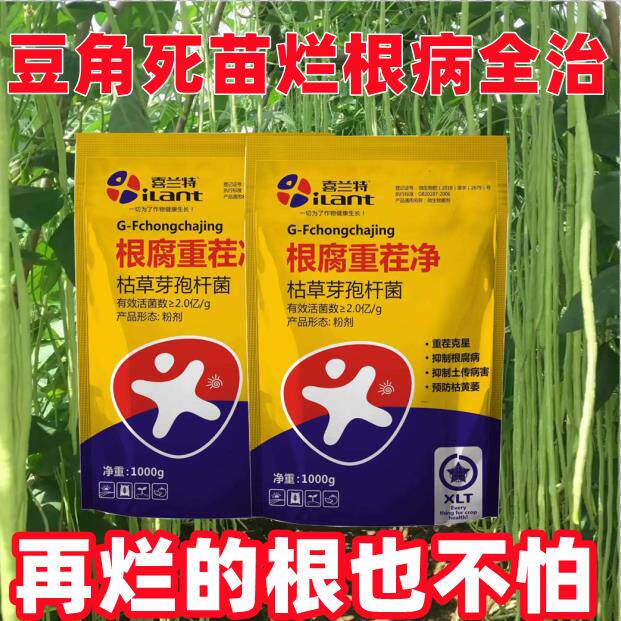 豆角死苗烂根专治甲霜恶霉灵根腐病软腐立枯病土传病害农药杀菌剂