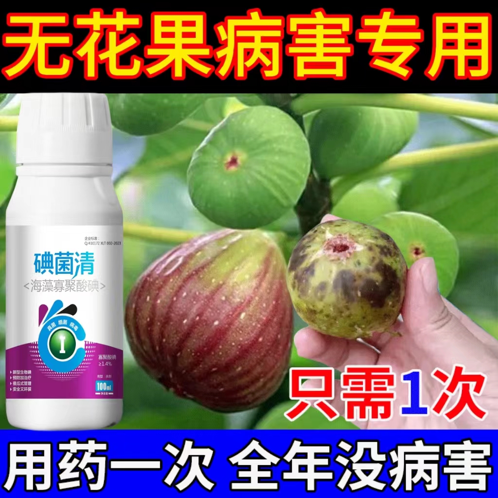 无花果专用药无花果病害杀菌剂枝枯病果腐病锈病灰斑病炭疽病全