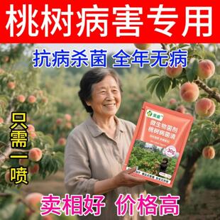桃树病害清桃树专用药桃树流胶穿孔缩叶褐腐桃树病全治桃树